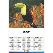 I - Série 207